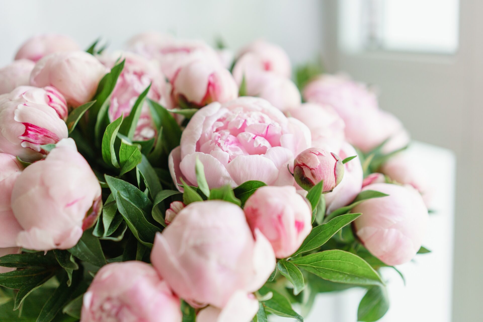 Lovely flowers in glass vase. Beautiful bouquet of pink peonies . Floral composition, scene, daylight.<br />
