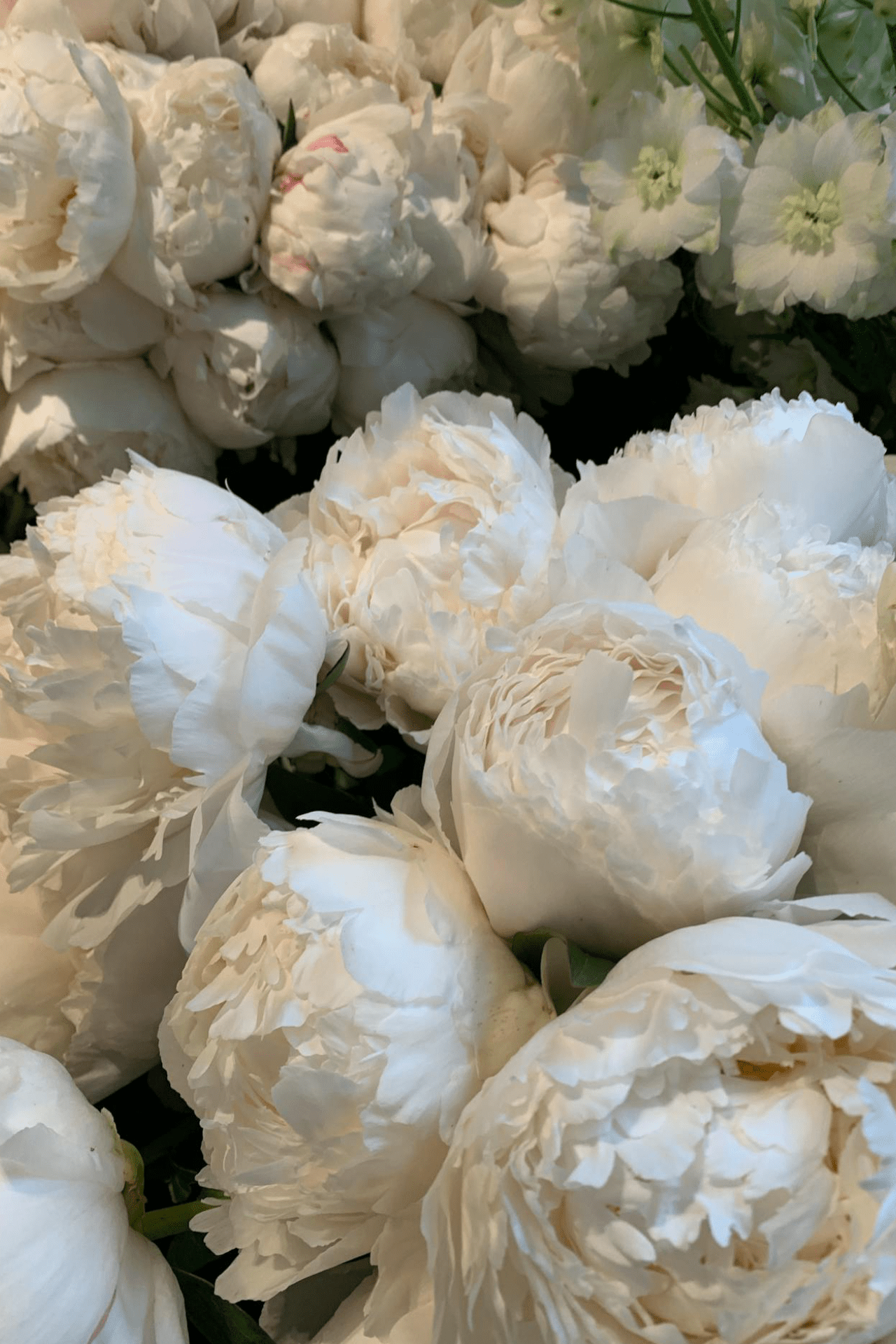Elegant White Roses Decoration